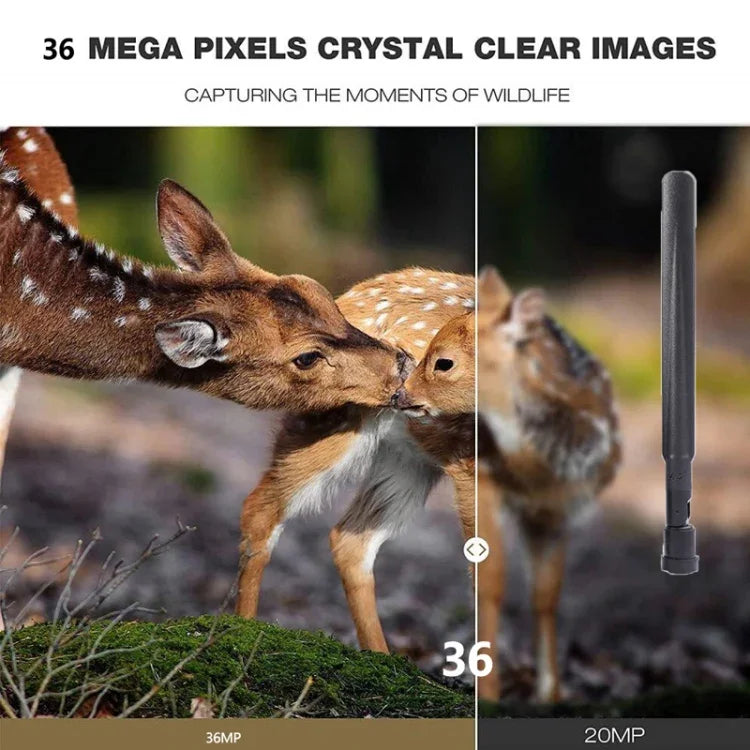 HC-801Pro 4K 4G Outdoor Jagdkamera App-Fernbedienung zur jederzeitigen Anzeige von Fotos und Videos auf dem Mobiltelefon, EU-Stecker, US-Stecker, AU-Stecker