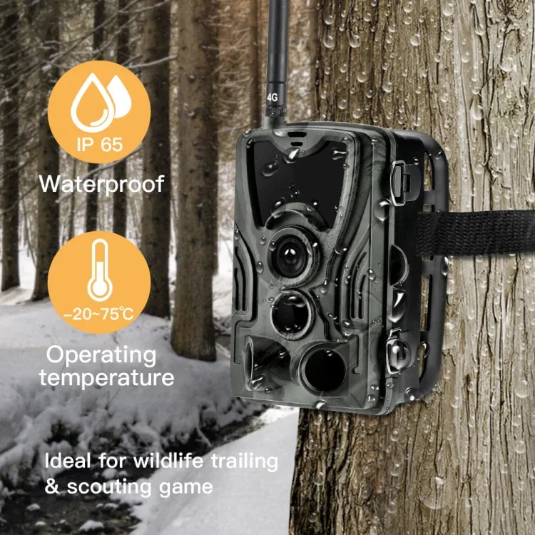 HC-801Pro 4K 4G Outdoor Jagdkamera App-Fernbedienung zur jederzeitigen Anzeige von Fotos und Videos auf dem Mobiltelefon, EU-Stecker, US-Stecker, AU-Stecker