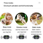 800 m Fernbedienung, Antibell-Hundetrainer, intelligentes Anti-Störungs-Vibrationshalsband, mit 1 Halsband, mit 2 Halsbändern, mit 3 Halsbändern
