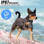 Intelligentes ferngesteuertes Hundetrainingshalsband mit Vibrationsfunktion, wasserdicht, 669N-1, 669N-2