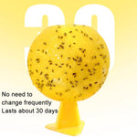 8cm Fruit Fly Balls for Indoor Use Insect Trap Sticky Insect Balls, Without Core