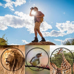 16x52 High Definition Outdoor Monokular-Teleskop zur Vogelbeobachtung, 16x52 Prisma, 16x52 Grüne Folie, 16x52 ohne Tasche, 16x52 mit Clip+Stativ