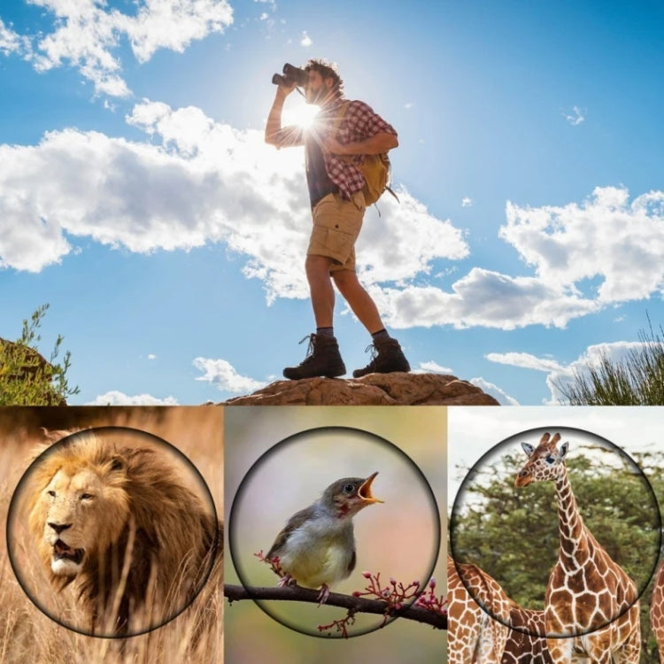 16x52 High Definition Outdoor Monokular-Teleskop zur Vogelbeobachtung, 16x52 Prisma, 16x52 Grüne Folie, 16x52 ohne Tasche, 16x52 mit Clip+Stativ