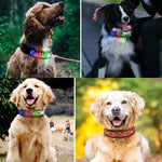 LED Display Pet Collar Rechargeable High Visibility DIY Single Color Collar