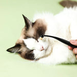 Augenreinigungsbürste für Haustiere, Tränenfleckenentfernung, Augen-Make-up-Pinsel für Hunde und Katzen