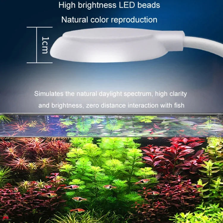 5W Aquarium-LED-Clip-Lampe USB-Stecker Beleuchtung Aquarium durchscheinende Wasserpflanzenlampe
