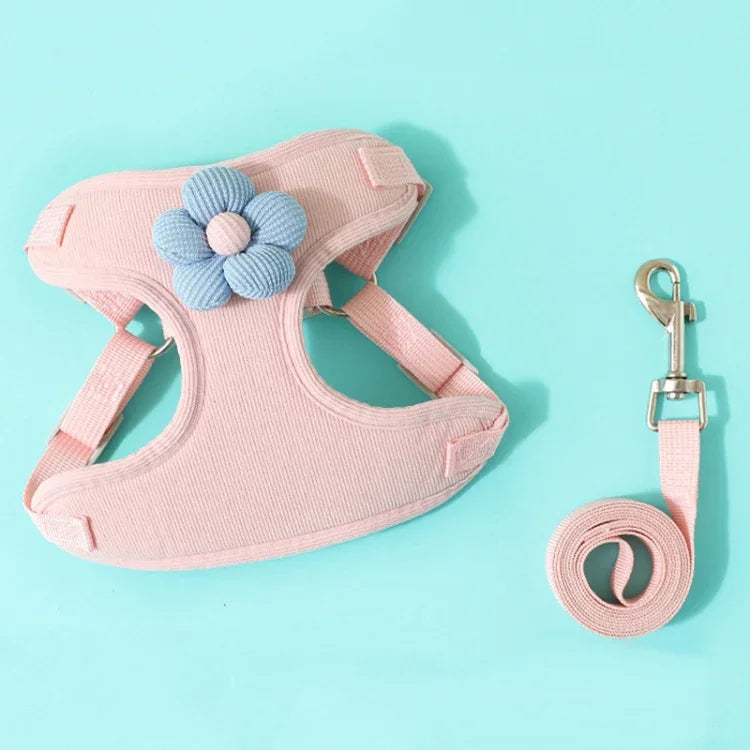 Hundeleine mit Weste, Teddy-Brustgurt und Kette, Größen: S, M, L, XL