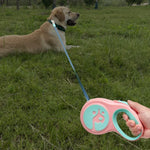 Automatische, einziehbare und tragbare Hundeleine für kleine und mittelgroße Hunde, 5 m