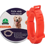 Floh- und Zeckenhalsband für Hunde und Katzen mit Aluminiumetui, 72 cm Grau, 72 cm Orange, 72 cm Blau, 38 cm Orange, 38 cm Rosa, 38 cm Blau