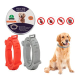 Floh- und Zeckenhalsband für Hunde und Katzen mit Aluminiumetui, 72 cm Grau, 72 cm Orange, 72 cm Blau, 38 cm Orange, 38 cm Rosa, 38 cm Blau