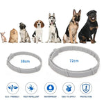Floh- und Zeckenhalsband für Hunde und Katzen mit Aluminiumetui, 72 cm Grau, 72 cm Orange, 72 cm Blau, 38 cm Orange, 38 cm Rosa, 38 cm Blau