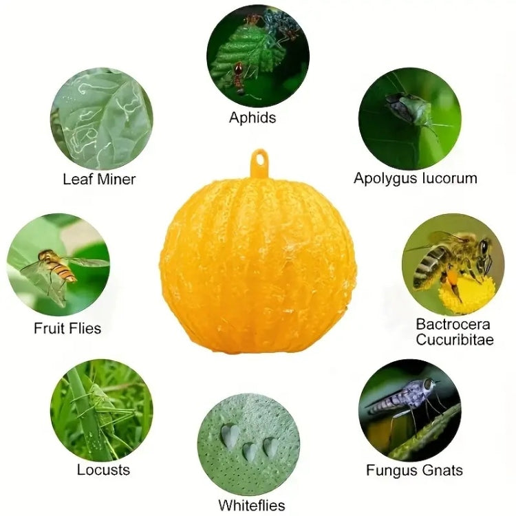 Outdoor Fruit Fly Mosquito Citrus Trap Sticky Ball, Yellow