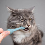 2er-Set Silikon-Zahnbürsten für Katzen und Hunde zur Zahnreinigung und Mundpflege