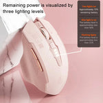 Inphic F8 2.4G Kabellose, geräuschlose Computer-Gaming-Maus, F8