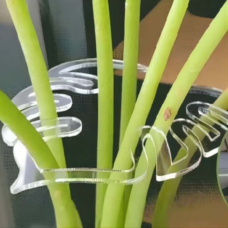 Plant Roots Fixing Bracket Gardening Care Tools, BJ138-001, BJ138-002