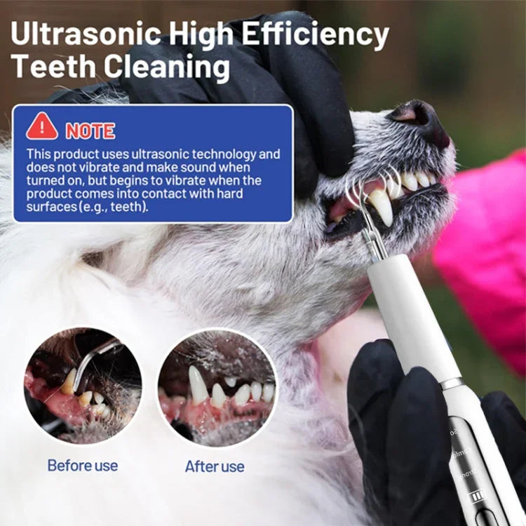 Ultraschall-Zahnreiniger für Haustiere, elektrisches Zahnreinigungsgerät für Hunde, Zahnsteinentferner für die Heimanwendung
