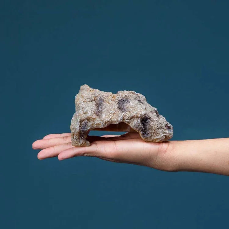 Reptilien-Simulation Felsen Versteck Haus Schildkröten-Sonnenliege, S, M, L
