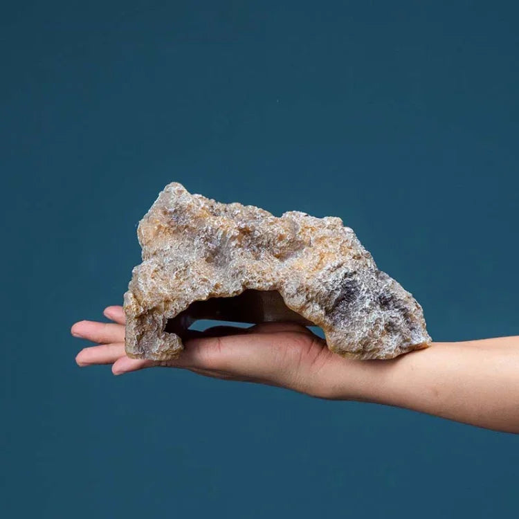 画像代替テキスト