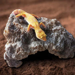 Reptilien-Simulation Felsen Versteck Haus Schildkröten-Sonnenliege, S, M, L