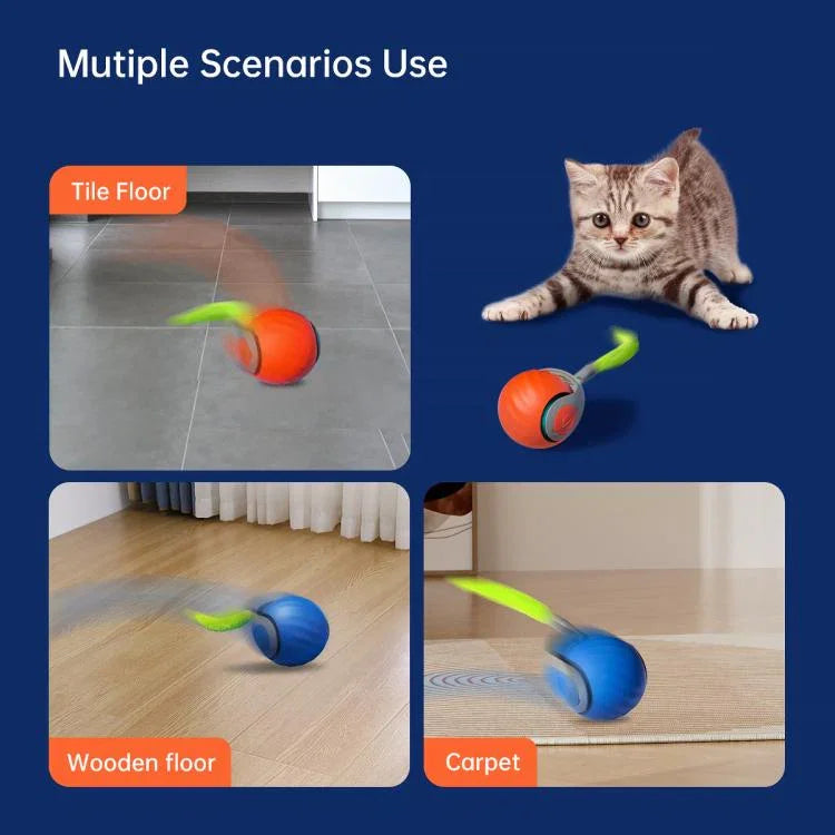 Intelligenter, selbstrollender Ball, interaktives Katzenspielzeug, USB-aufladbar, zwei Geschwindigkeitsstufen, TUTU Orange, TUTU Blau
