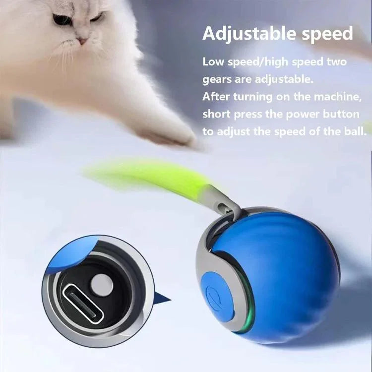Intelligenter, selbstrollender Ball, interaktives Katzenspielzeug, USB-aufladbar, zwei Geschwindigkeitsstufen, TUTU Orange, TUTU Blau