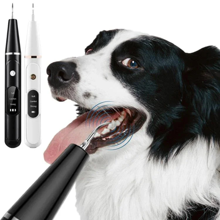 Ultraschall-Zahnreinigungsset für Haustiere, Zahnputzset für Hunde, Zahnsteinentferner, Zahnpflegegerät