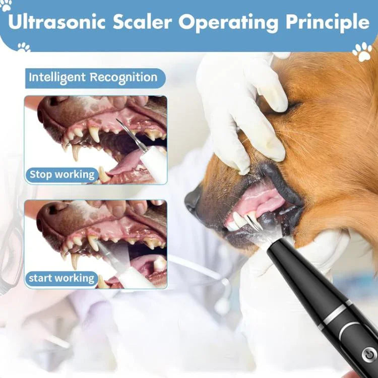 Ultraschall-Zahnreinigungsset für Haustiere, Zahnputzset für Hunde, Zahnsteinentferner, Zahnpflegegerät