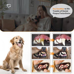 Ultraschall-Zahnreinigungsset für Haustiere, Zahnputzset für Hunde, Zahnsteinentferner, Zahnpflegegerät