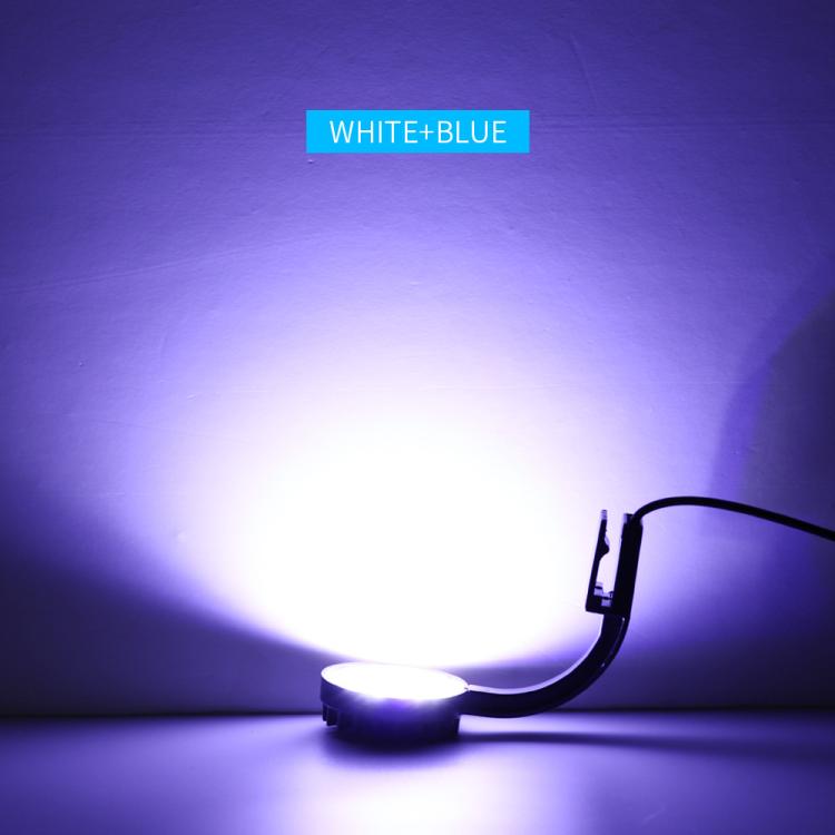 5W Blauweißes Aquarium-LED-Clip-Licht mit 12 LEDs, USB-betrieben, Mini-Aquarienleuchte für Wasserpflanzen, Wassergras & kleine Aquarien, 220V, 110V