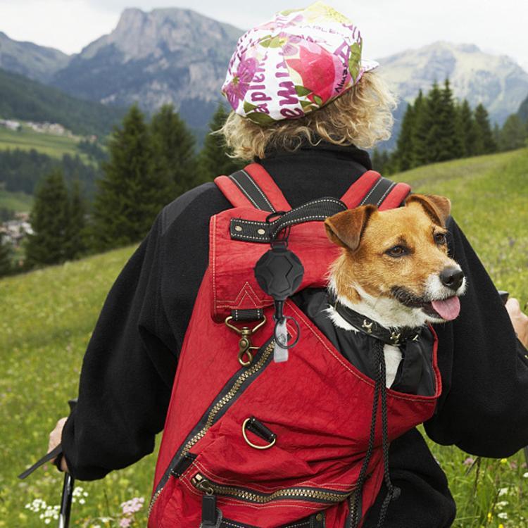 Aufhängbare Kletterschnalle, einziehbar, absturzsicher, Outdoor-Kletterschnalle, aufhängbar