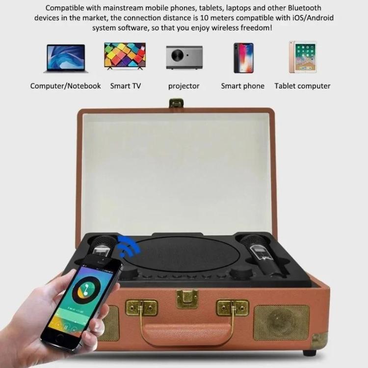 SDRD Karaoke-Maschine aus Holz mit drahtlosen Doppelmikrofonen All-in-One-Lautsprechersystem unterstützt U-Disk/TF-Karte