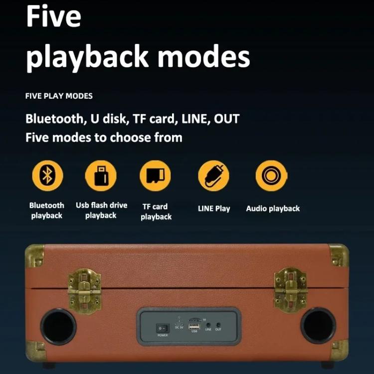 SDRD Karaoke-Maschine aus Holz mit drahtlosen Doppelmikrofonen All-in-One-Lautsprechersystem unterstützt U-Disk/TF-Karte