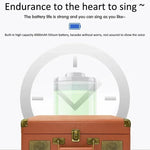 SDRD Karaoke-Maschine aus Holz mit drahtlosen Doppelmikrofonen All-in-One-Lautsprechersystem unterstützt U-Disk/TF-Karte