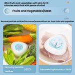 Tragbare Sterilisations- und Pestizidrückstands-Entfernungsmaschine für Obst und Gemüse, Englisch