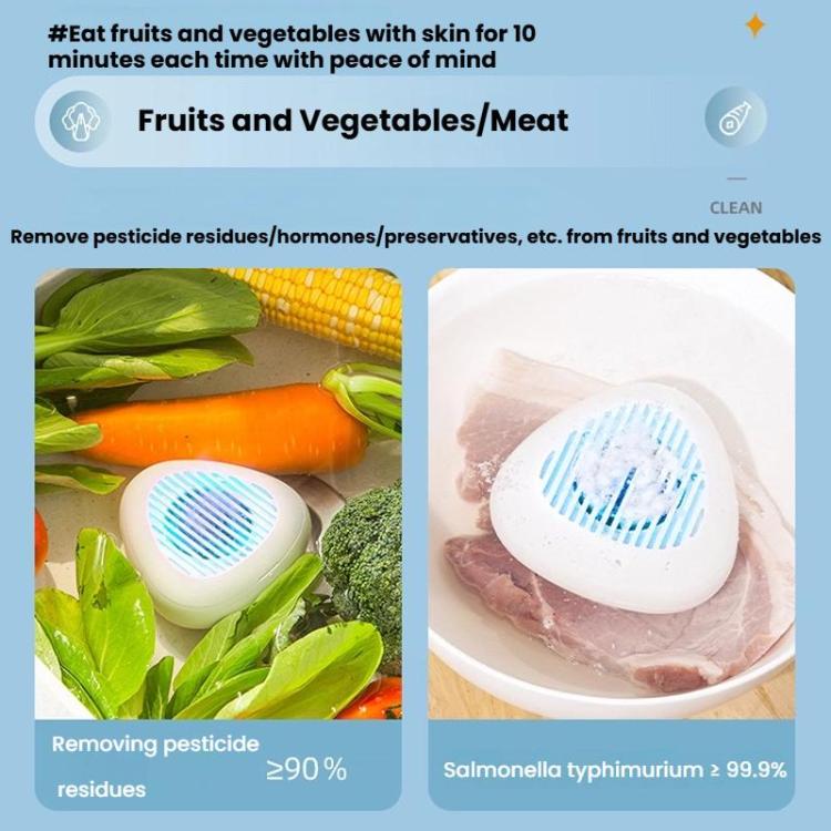 Tragbare Sterilisations- und Pestizidrückstands-Entfernungsmaschine für Obst und Gemüse, Englisch