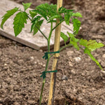 30m Gartenkordel Stoffkordel Pflanzenstützband