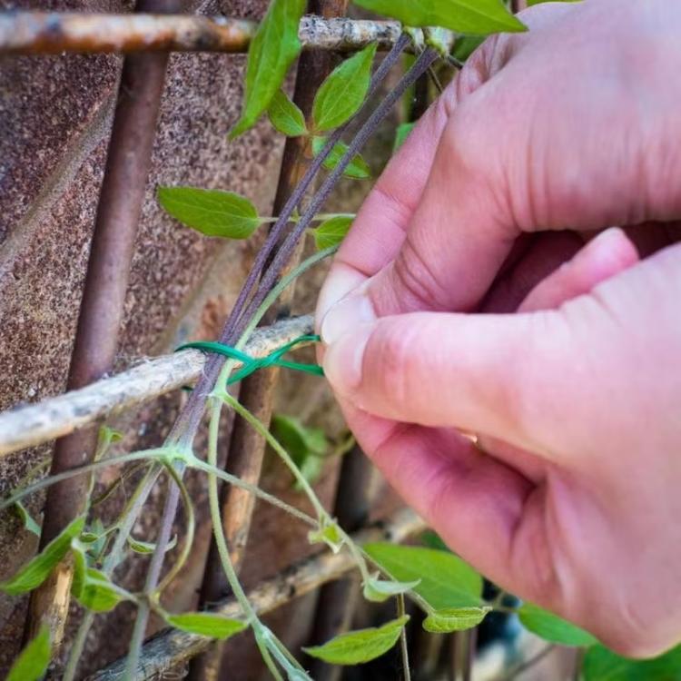 30m Gartenkordel Stoffkordel Pflanzenstützband