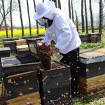 Edelstahl Gebogener Bienenstock-Schaber Imkereigeräte