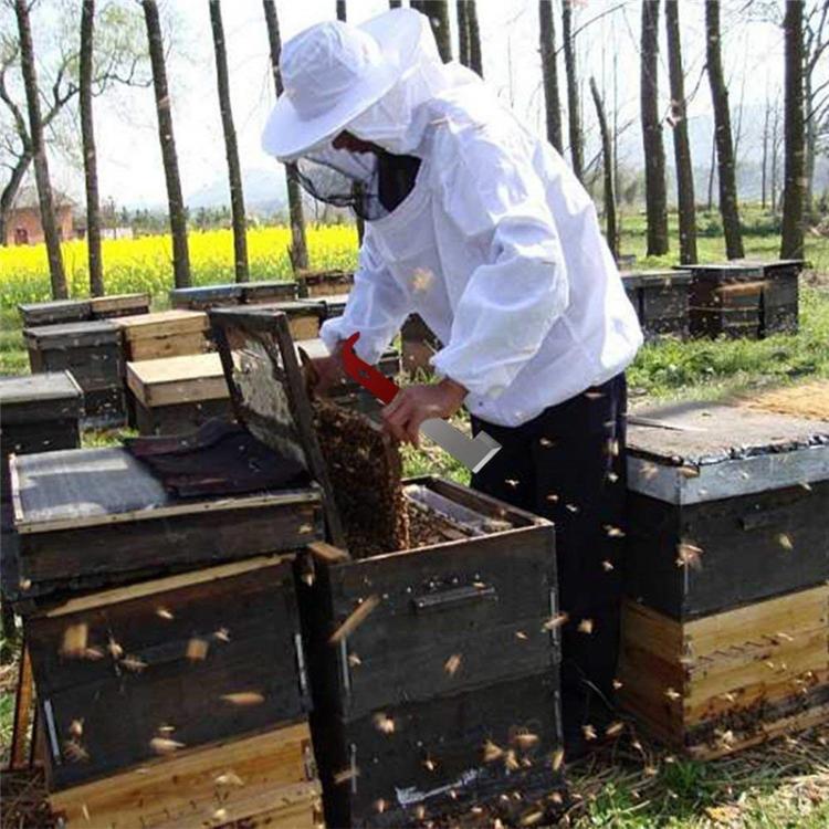 Edelstahl Gebogener Bienenstock-Schaber Imkereigeräte