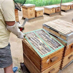 Edelstahl Gebogener Bienenstock-Schaber Imkereigeräte