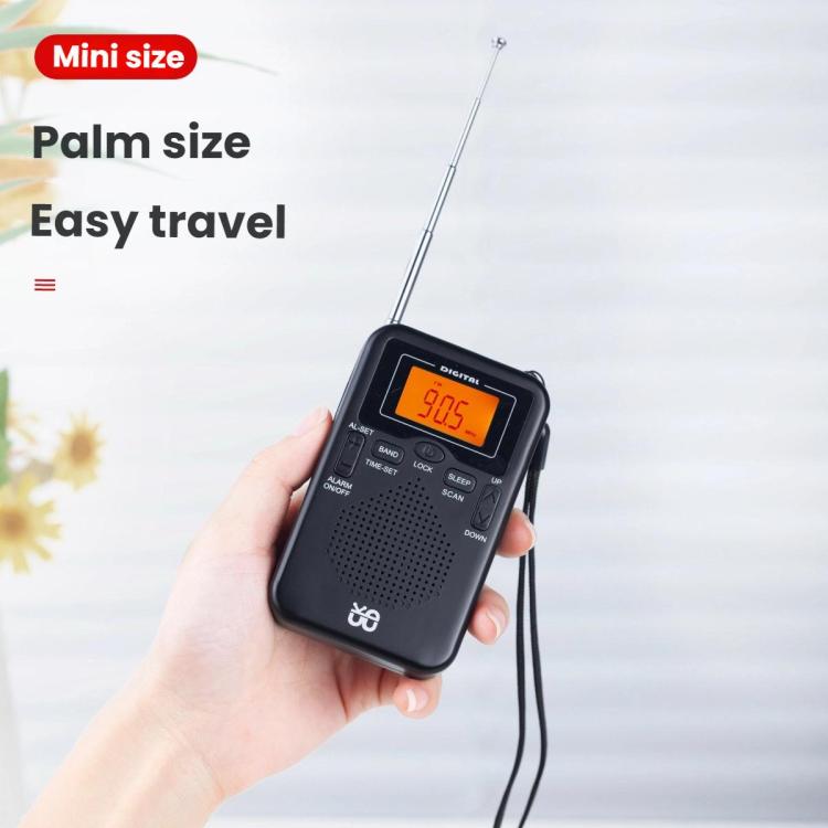 Tragbarer FM/AM Uhren-gesteuerter Stereo Taschenradio, Für EU, Für US