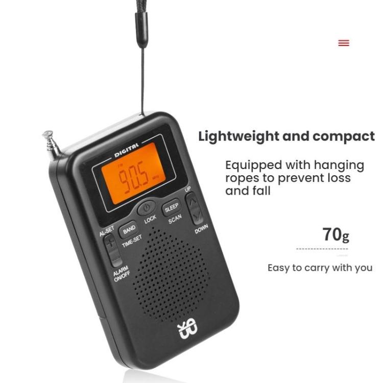 Tragbarer FM/AM Uhren-gesteuerter Stereo Taschenradio, Für EU, Für US
