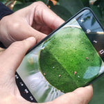Haut Haarfollikel Kopfhaut Makro-Vergrößerung für Mobiltelefone