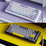 Ajazz AK820 MAX Hot-swap Gasket 75 Mechanische Tastatur mit RGB-Beleuchtung, Tri-mode Ice Cream Schalter Schwarz Grau Gelb, Kabelgebundener Magnetic Schalter Schwarz Grau Gelb, Kabelgebundener Magnetic Schalter Seitenbeschriftet Gradient Grau