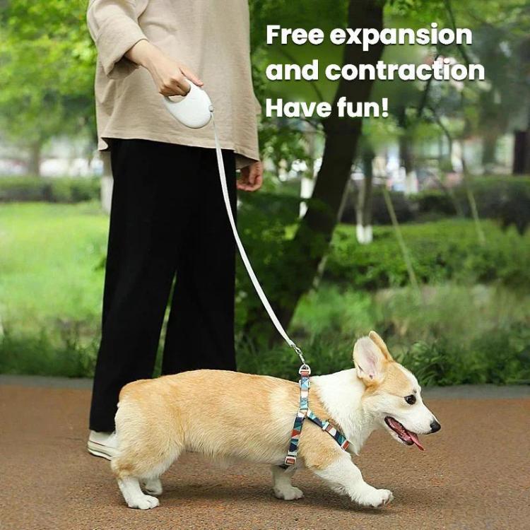 Einziehbare Hundeleine für kleine und mittelgroße Hunde, verwicklungsfrei, 3 m, 5 m