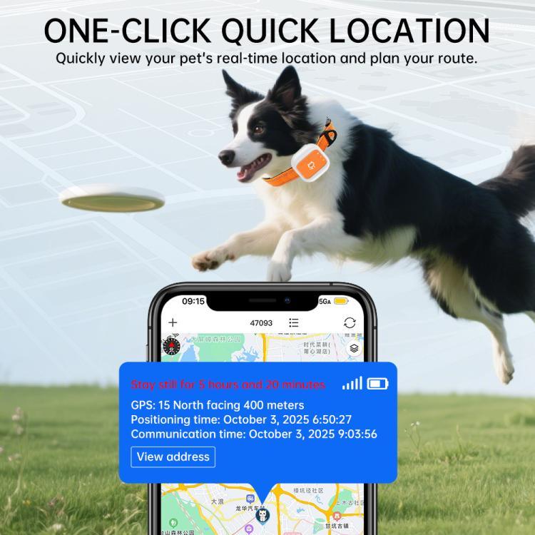 Echtzeit-GPS-/WLAN-Ortung, SOS-Notruf, Alarm für elektronischen Zaun, Haustierhalsband