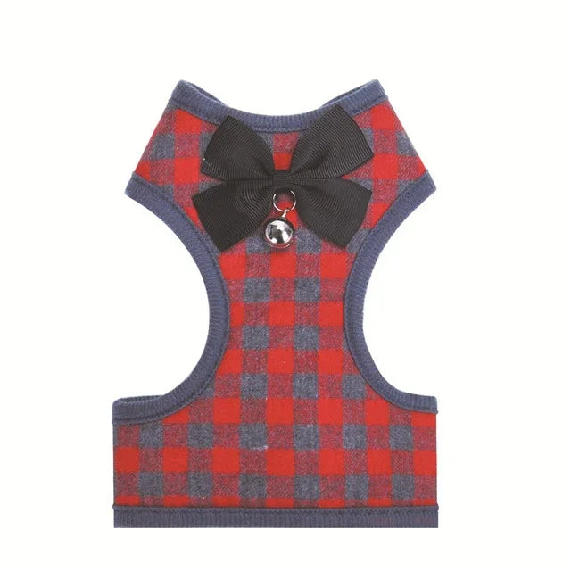 Bild-Alt-Text