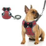 Verstellbare Schleifen- und Karowesten-Führleine für Katzen und Hunde, Rot, Blau, Grau, Rosa, Gelb