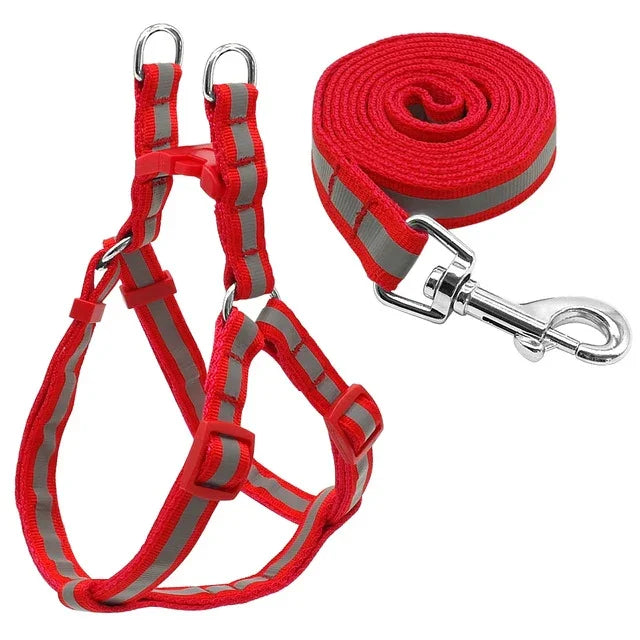 Nylon-Hundeleine-Set mit Reflektoren für kleine bis mittelgroße Hunde, Größe S