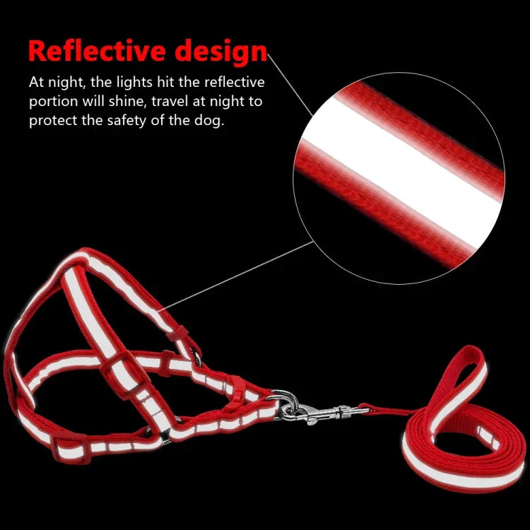 Nylon-Hundeleine-Set mit Reflektoren für kleine bis mittelgroße Hunde, Größe S